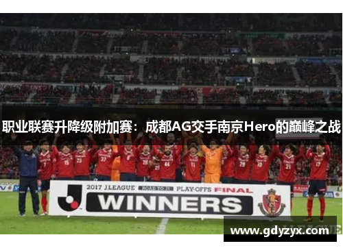 职业联赛升降级附加赛：成都AG交手南京Hero的巅峰之战