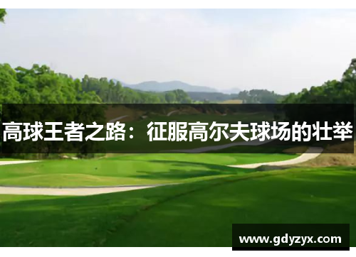 高球王者之路：征服高尔夫球场的壮举